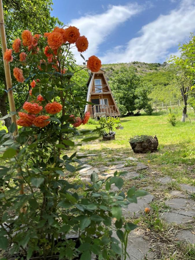 Teo'S Cottages Dedoplis Tskaro المظهر الخارجي الصورة