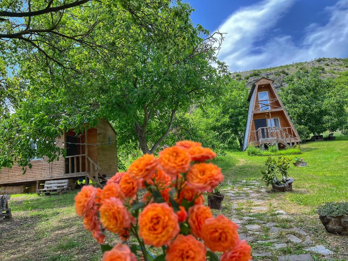 Teo'S Cottages Dedoplis Tskaro المظهر الخارجي الصورة